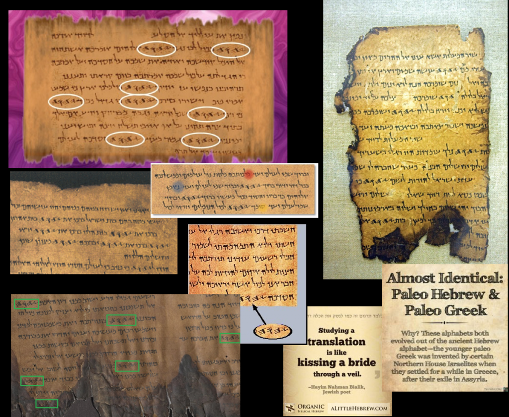 Dead Sea Scrolls