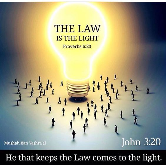 the-law-is-the-light